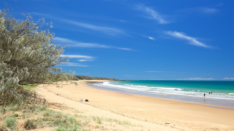 Bundaberg Vacations 2017 Package & Save up to 603 Expedia