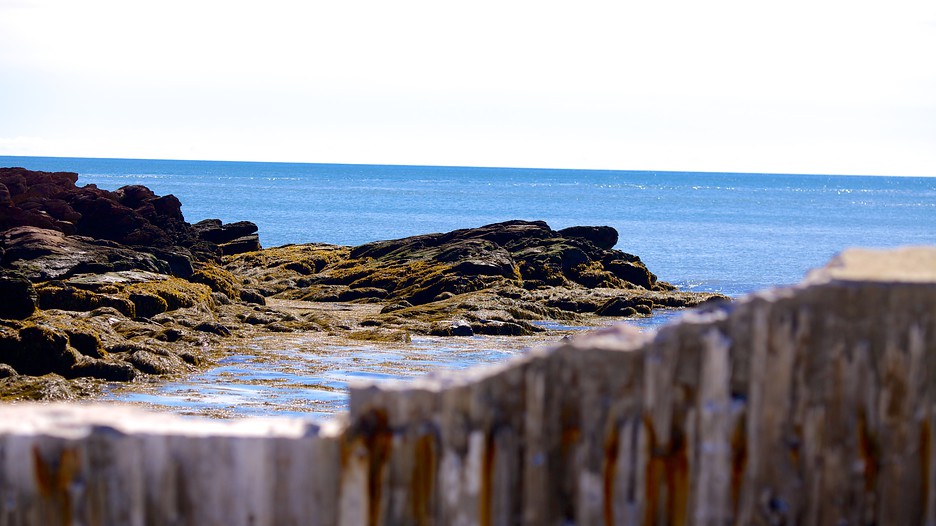 The Best Chance Harbour Vacation Packages 2017 Save Up to C590 on our