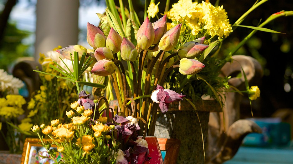 Hiển thị mục 6 trên 16. Linh Sơn Cổ Tự - Vũng Tàu (và vùng phụ cận) - Tourism Media