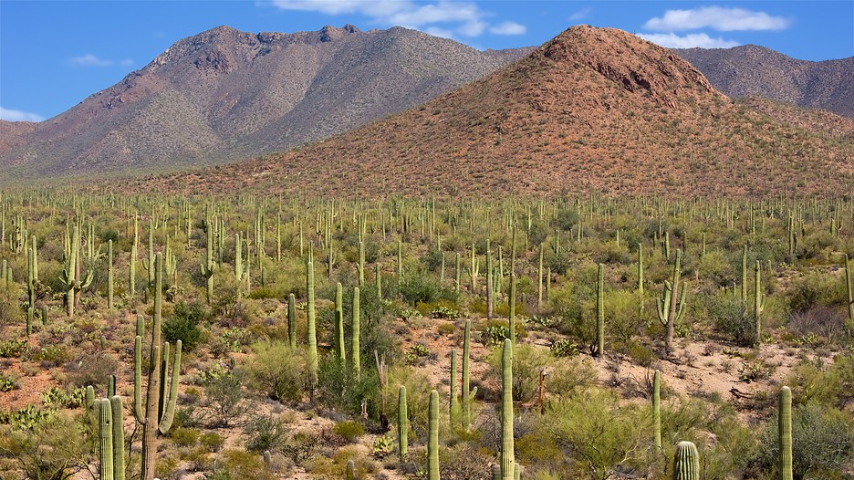 Cheap Hotels In Arizona Cheap Hotels In Arizona