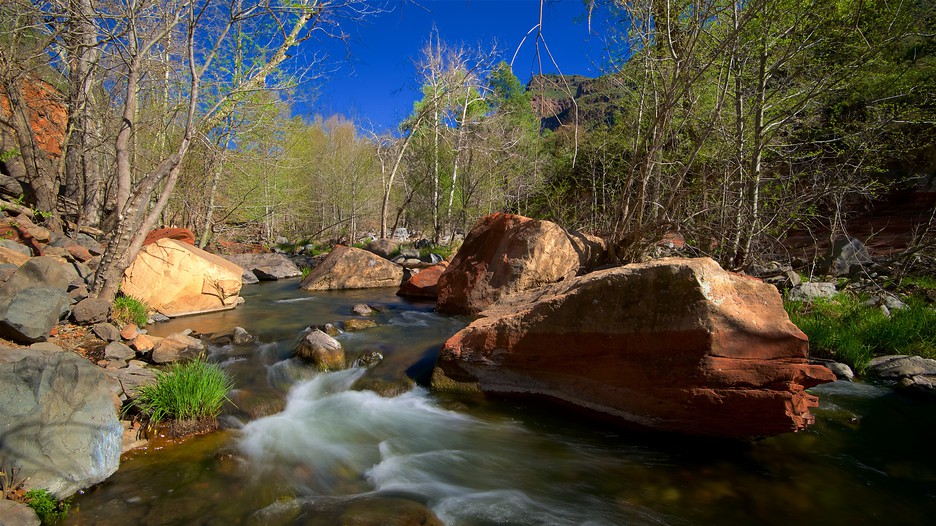 Oak Creek Canyon in Sedona, Arizona Expedia