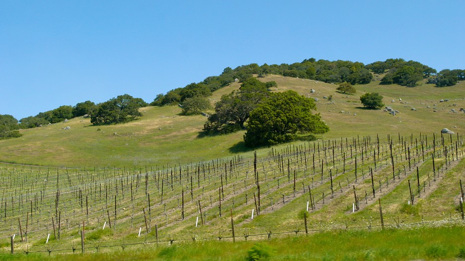 Wine Country Vacations 2017 Explore Cheap Vacation Packages Expedia