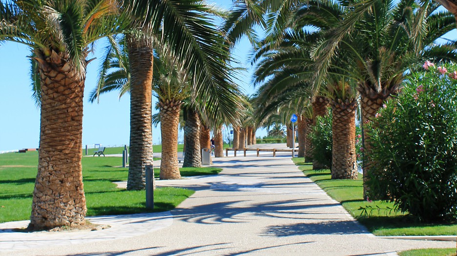 Hotel San Benedetto Del Hotel San Benedetto Del
