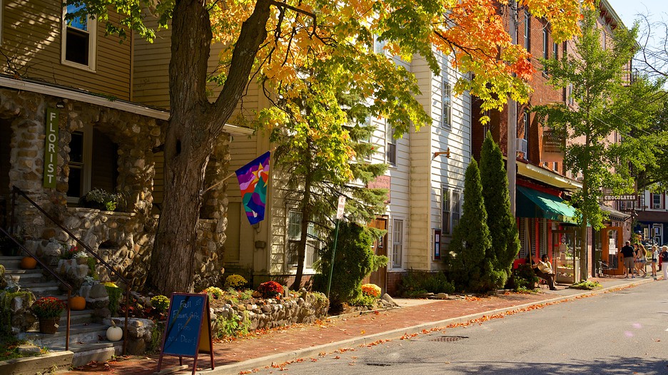 Package deals new york attractions