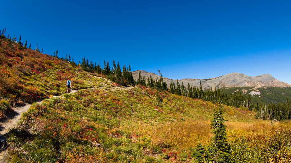 Travel To Montana Deals Travel To Montana Deals