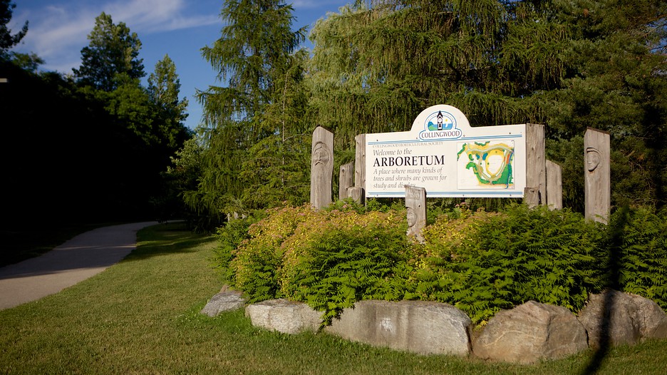 The Best Collingwood Vacation Packages 2017 Save Up to C590 on our