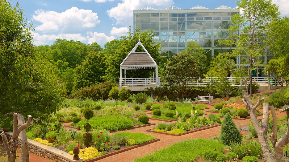 State Botanical Garden of in Athens, Expedia