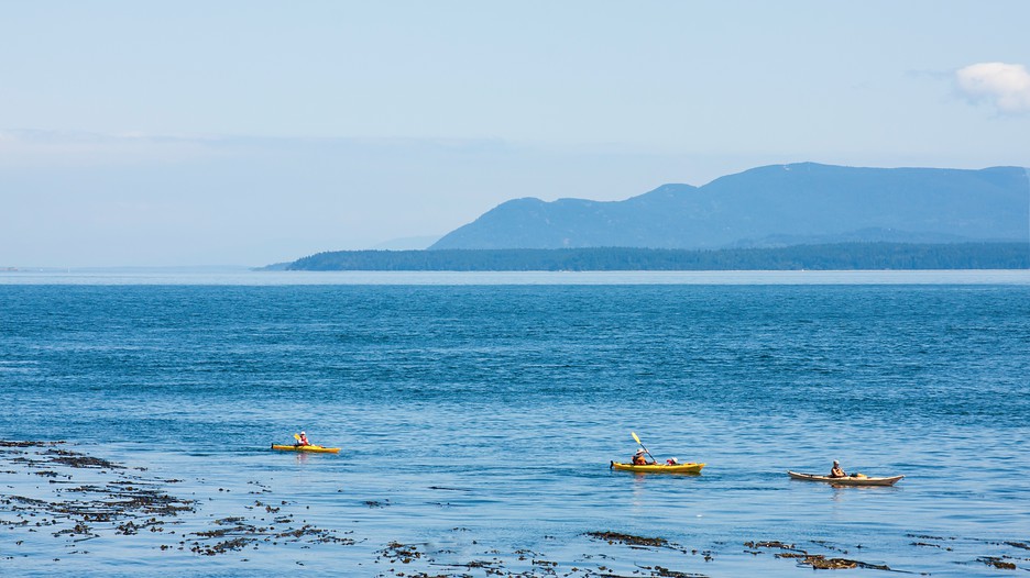 Vancouver sun travel deals