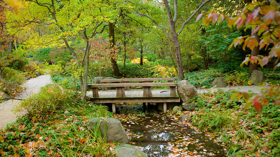 Anderson Japanese Gardens in Rockford, Illinois Expedia