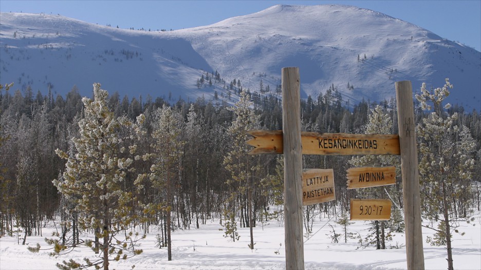 Kuvahaun tulos haulle ylläs