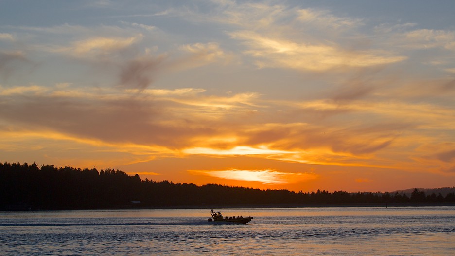 The Best Tofino Vacation Packages 2017 Save Up to C590 on our Deals