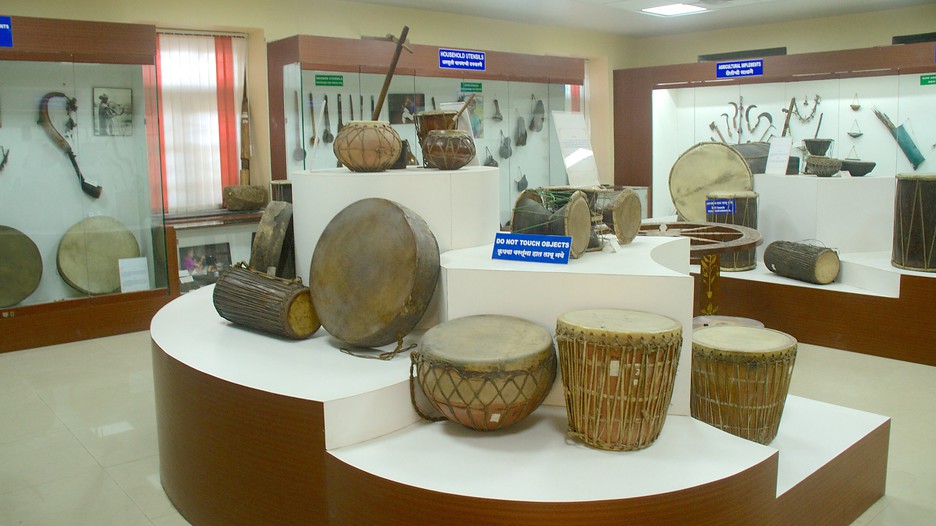 Tribal Museum Pune, Attraction