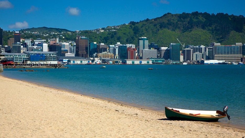 Oriental Bay Beach in Wellington, Expedia.ca