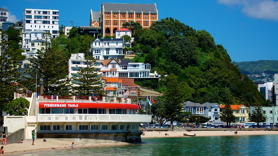 Last minute hotel deals wellington nz