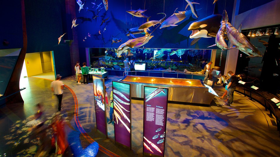 Museo Te Papa