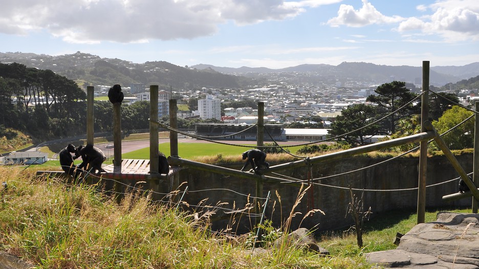 Men looking for Men Wellington