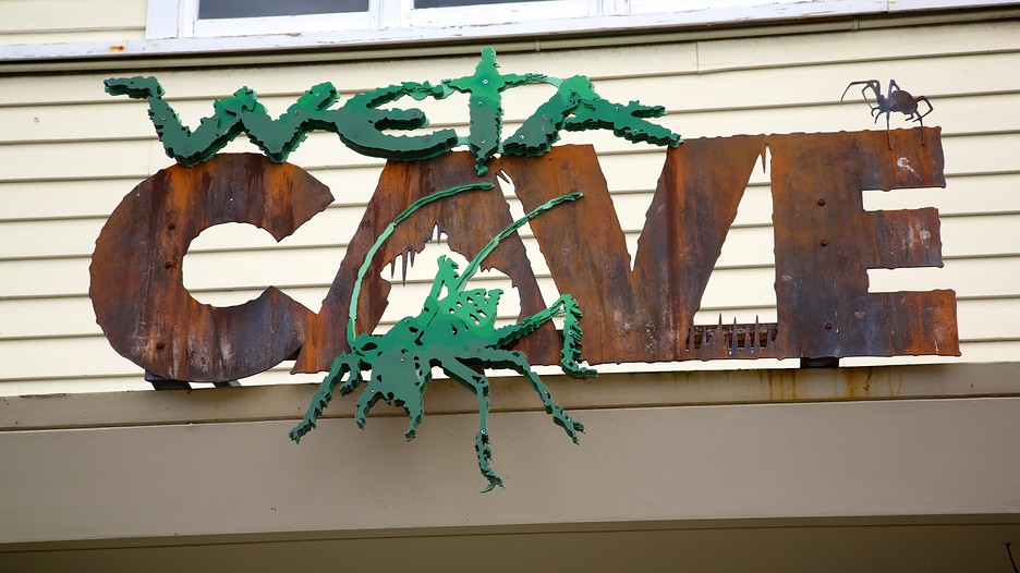 The Weta Cave in Wellington Expedia.de