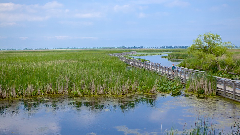 Point Pelee National Park in Leamington, Ontario Expedia