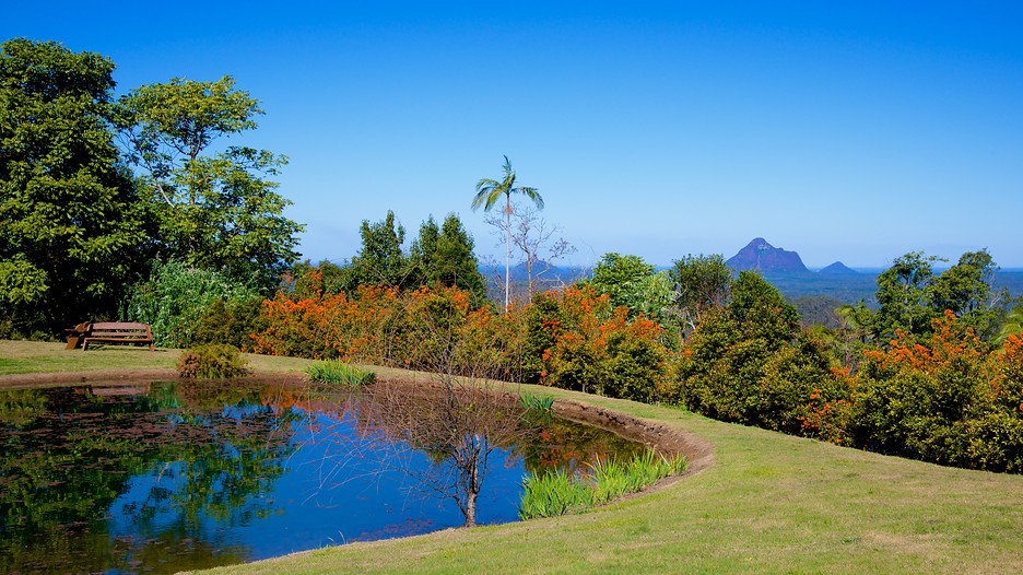 Maleny Botanic Gardens in Maleny, Queensland Expedia