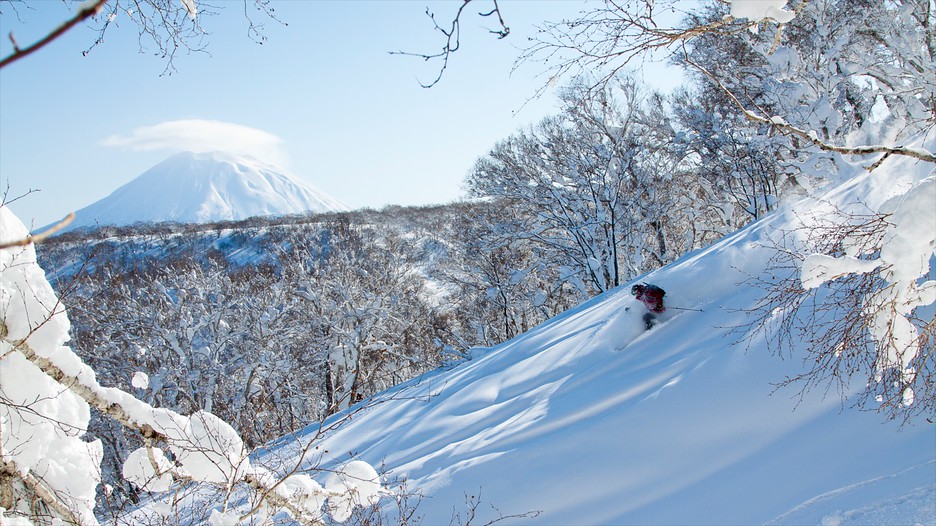 Japan Hokkaido Travel Package Japan Hokkaido Travel Package