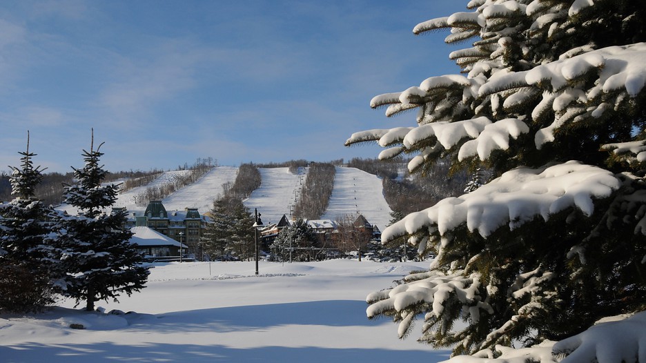 Blue Mountain Ski Resort 80386