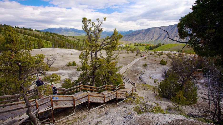 Best deals yellowstone national park