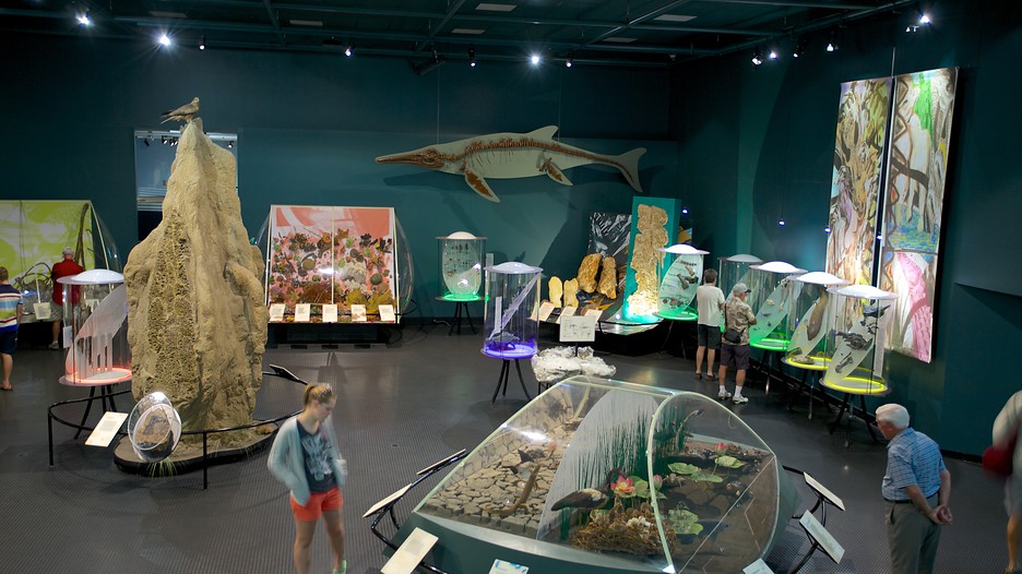 Museum and Art Gallery of the Northern Territory Darwin, Northern Territory Attraction