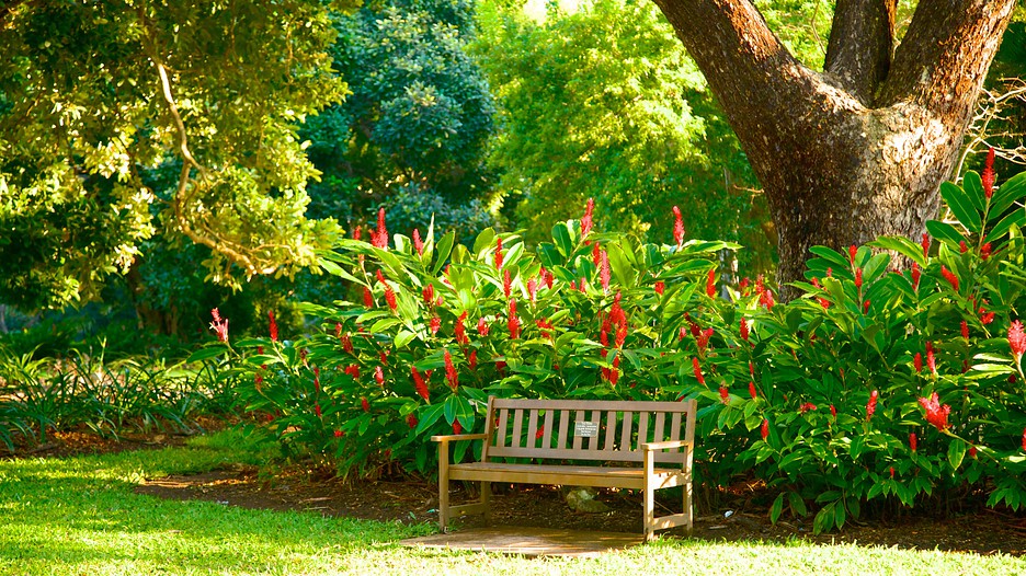 Brown Darwin Botanic Gardens in Darwin, Northern Territory Expedia