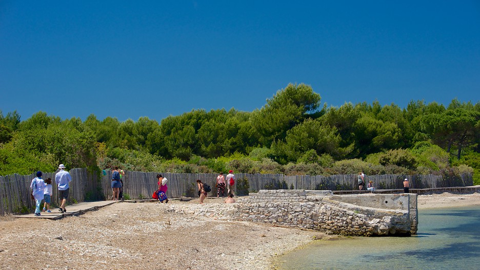 Vacances à Île SainteMarguerite Réservez votre séjour sur Expedia.fr