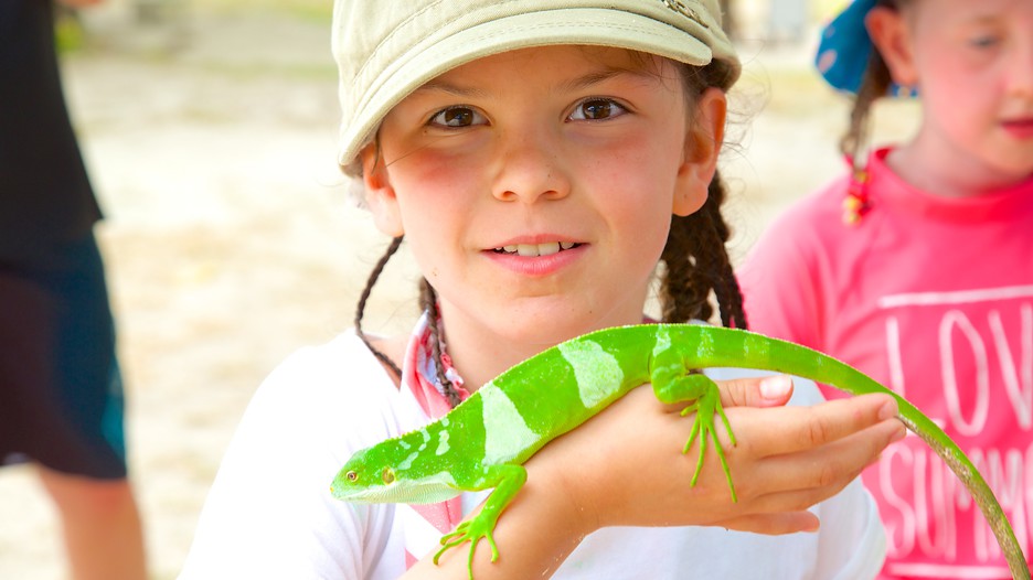 Turtle island package deals