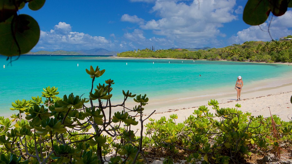 Smith Bay Beach in St. Thomas, Expedia