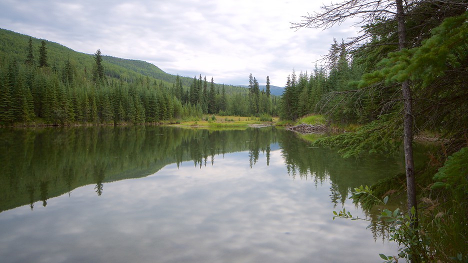 Chena Hot Springs in Fairbanks, Alaska | Expedia