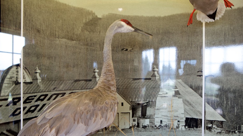 Creamer's Field in Fairbanks, Alaska Expedia.ca