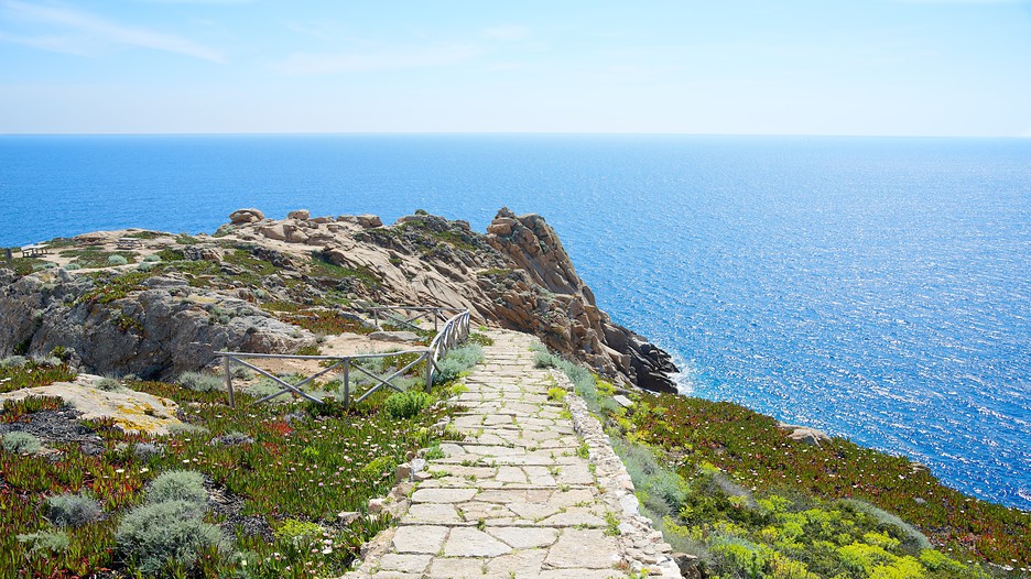 Hotel Isola Del Giglio Booking Hotel Isola Del Giglio Booking