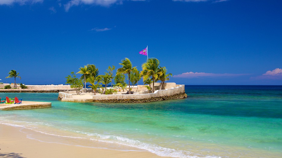 Search hundreds of travel sites at once for car rental deals in Orlando This is very good and authentic Jerk seasoning. I used to live near a Jamaican restaurant owned by Jamaican immigrants so all the food was authentic.