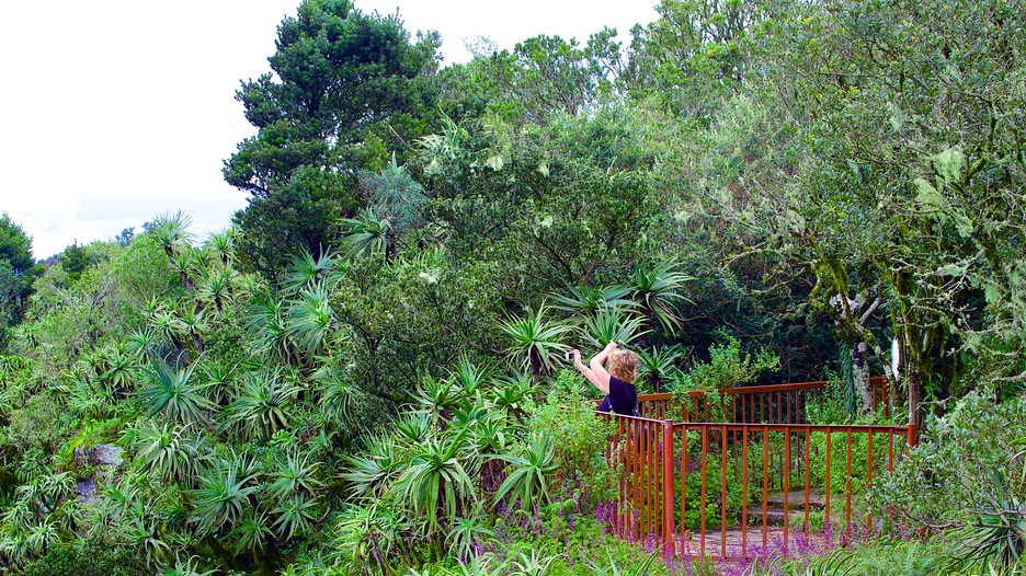 God's Window in Graskop, Mpumalanga | Expedia
