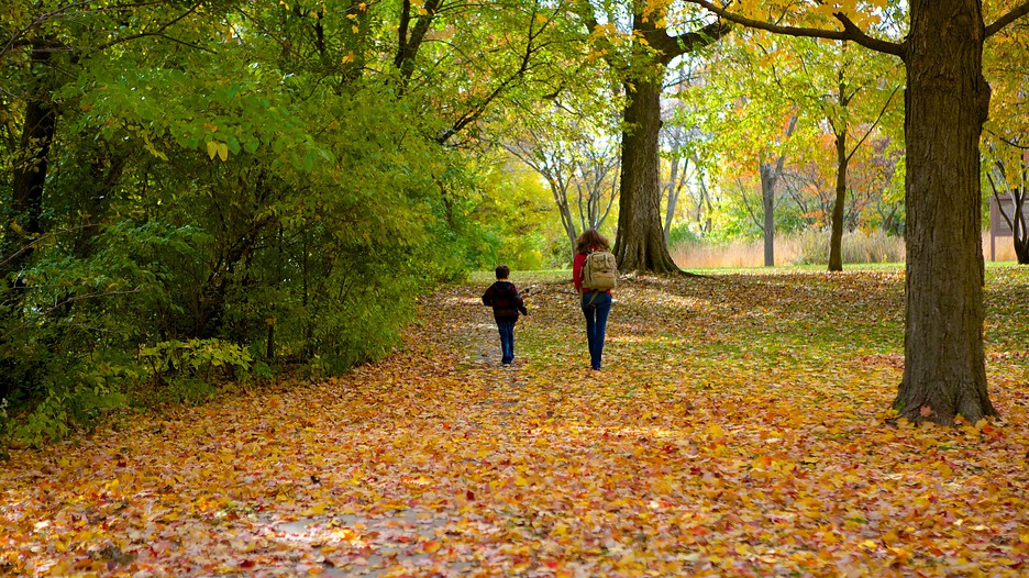 Black Hawk State Historic Site in Rock Island, Illinois Expedia