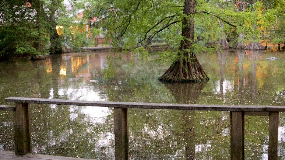 New Iberia Vacations 2017 Package & Save up to 603 Expedia