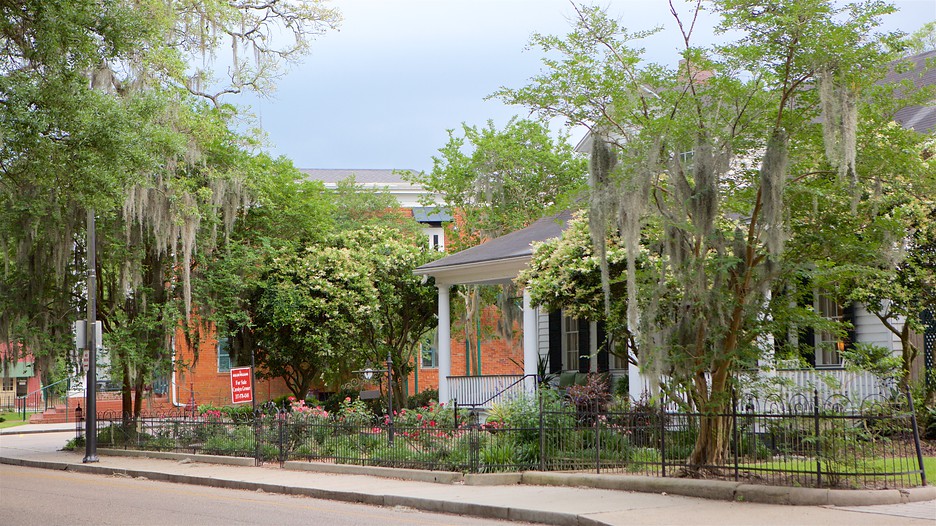 New Iberia Vacations 2017 Package & Save up to 603 Expedia