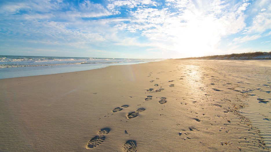 Shortly after i graduated from college, the economy was in shambles. Huntington Beach State Park Myrtle Beach - Huntington Beach State Park Vacations 2017: Package & Save ...