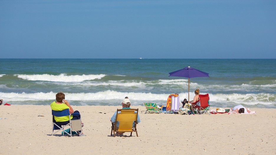 Assateague Island National Seashore in Ocean City, Maryland Expedia
