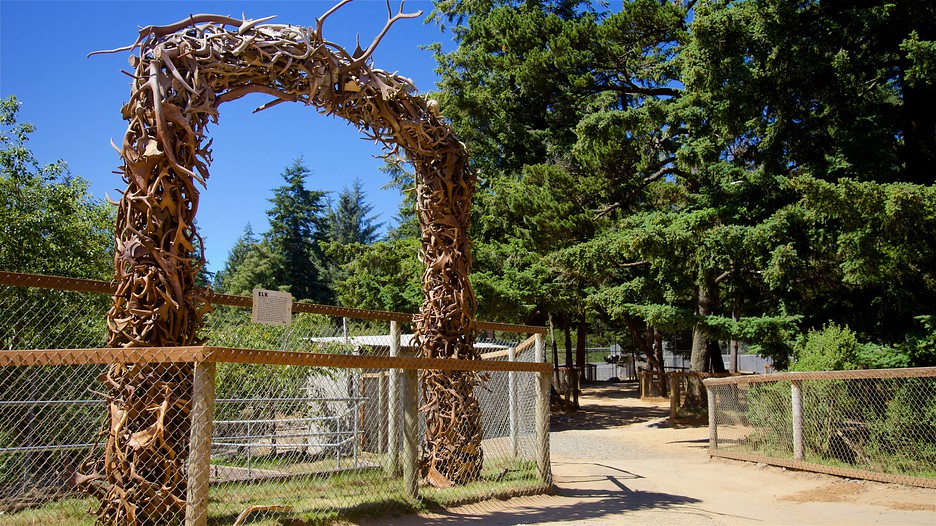 wild safari park bandon oregon