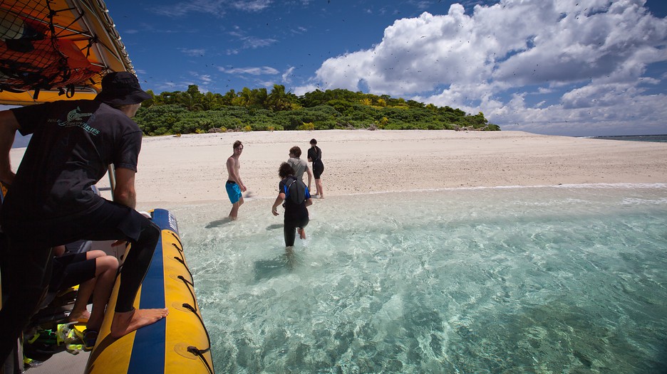 Tonga Vacations 2017 Explore Cheap Vacation Packages Expedia