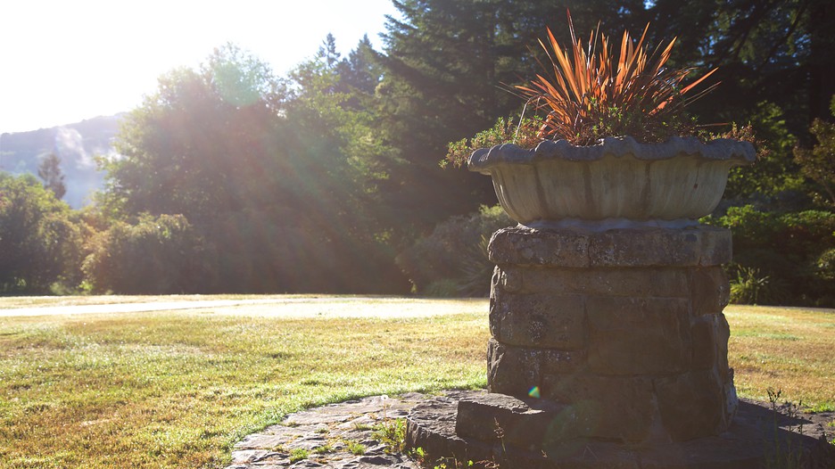 Azalea Park in Brookings, Oregon Expedia