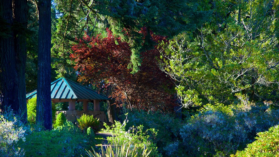 Azalea Park in Brookings, Oregon Expedia