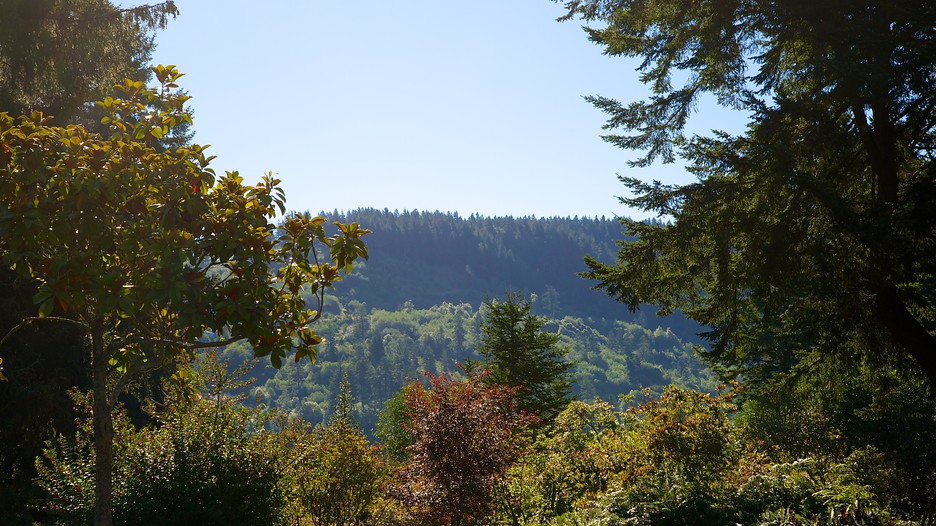 Azalea Park in Brookings, Oregon Expedia.ca