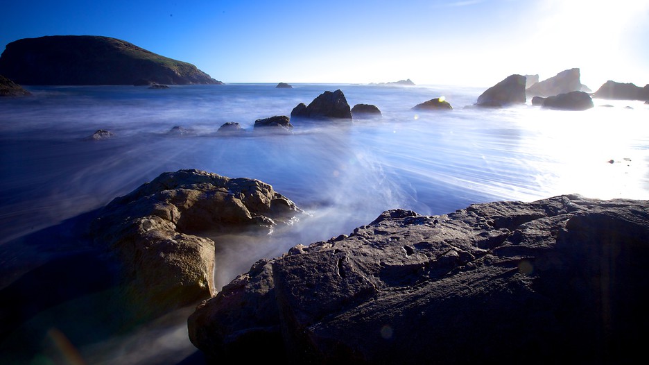 In addition, there’s beautiful sandy beaches and tide pools to explore. Harris Beach State Park in Brookings, Oregon Expedia.ca