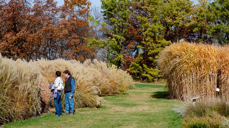Minnesota Landscape Arboretum in Chanhassen, Minnesota Expedia.ca