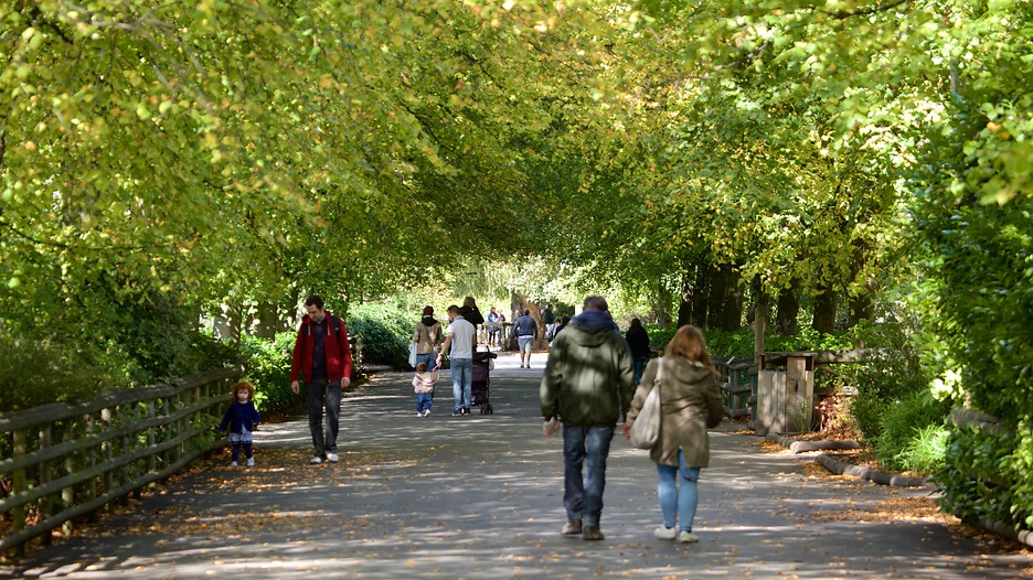 Chester Zoo And Hotel Deals Chester Zoo And Hotel Deals