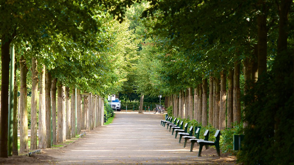 Bremen Buergerpark in Bremen, | Expedia